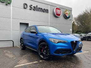 ALFA ROMEO STELVIO   at D Salmon Cars Colchester